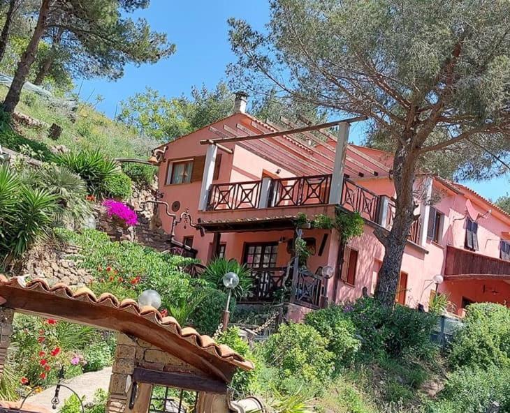 Villetta Dei Fichi D'India Rio dellʼElba エクステリア 写真