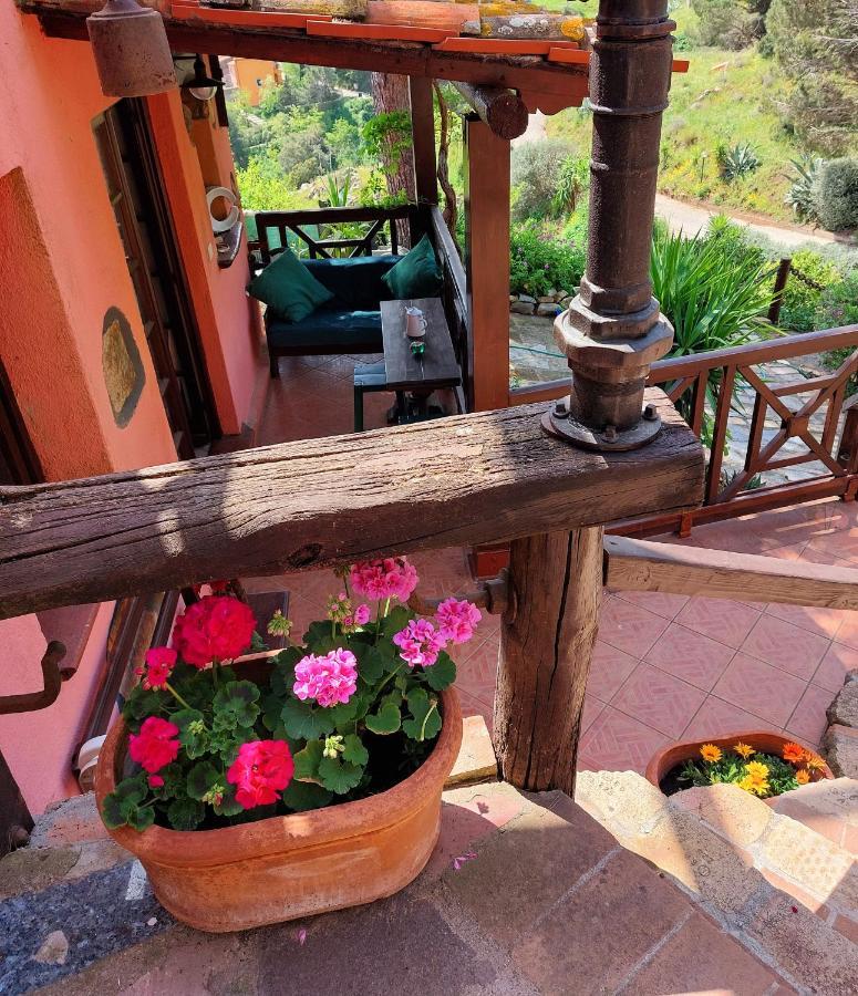 Villetta Dei Fichi D'India Rio dellʼElba エクステリア 写真