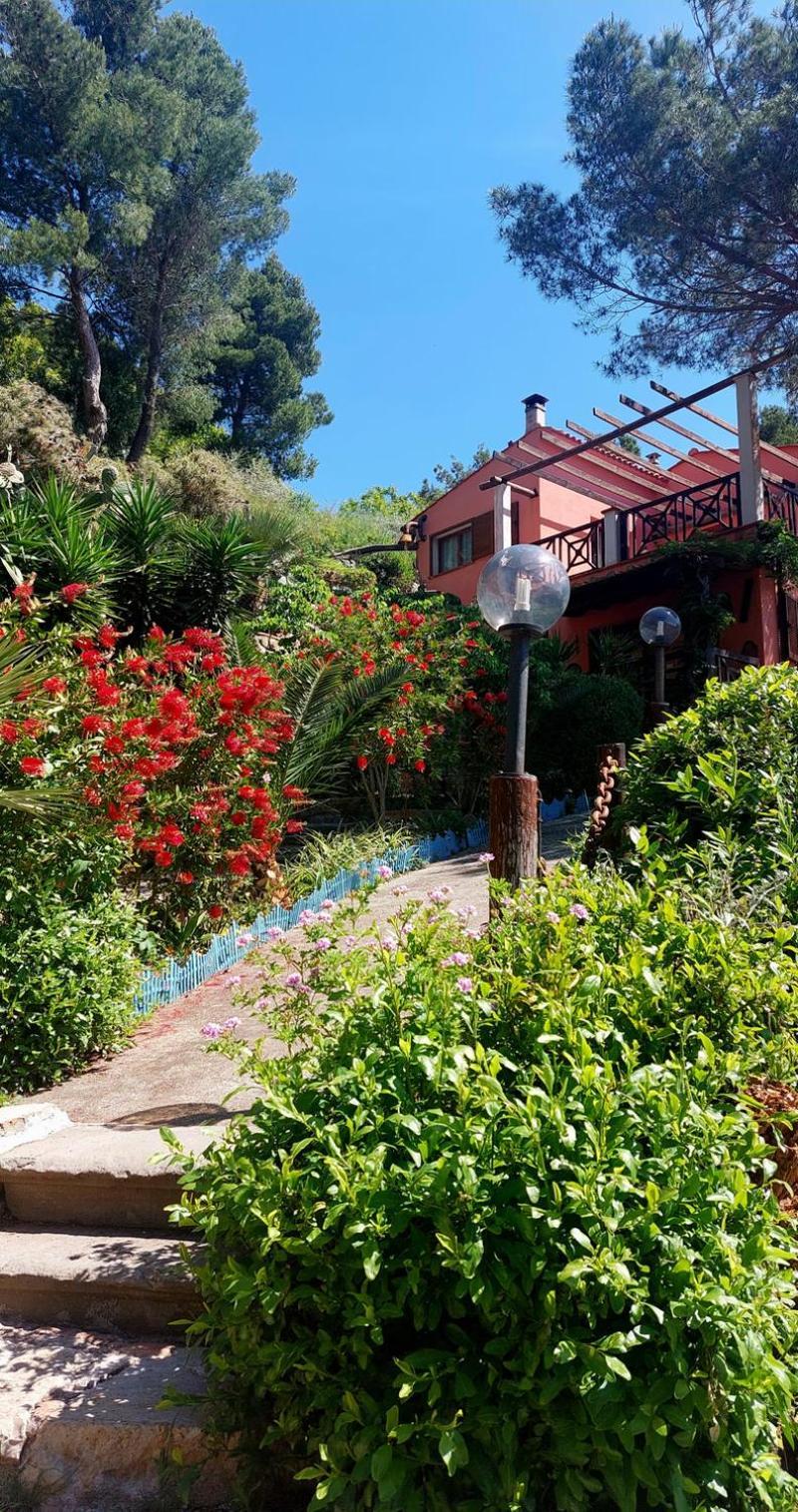 Villetta Dei Fichi D'India Rio dellʼElba エクステリア 写真